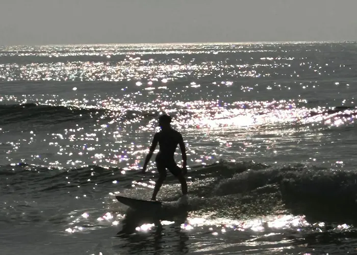 Na * Виейра-де-Лейрия