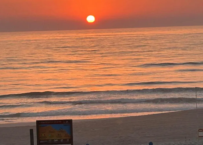 Na * Виейра-де-Лейрия